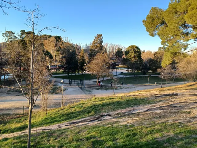 qué tan grande debe ser un parque para perros