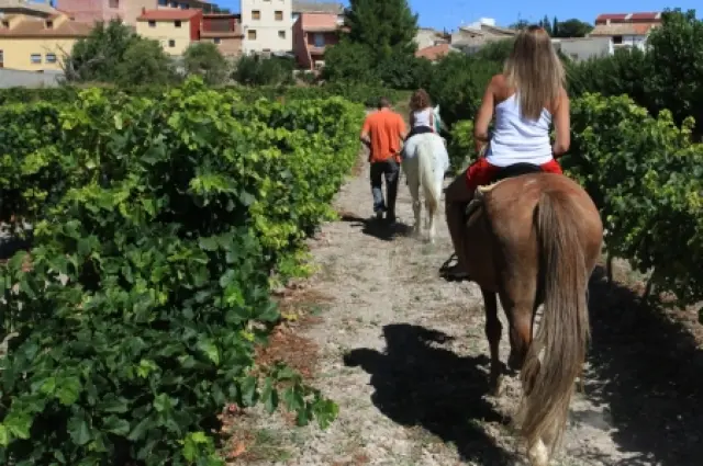 Paseo a caballo entre viñedos, cerca del río Huecha.