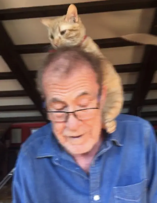 Fernando Sánchez Dragó, con su gato sobre la cabeza, última foto publicada por el escritor en redes sociales antes de fallecer.