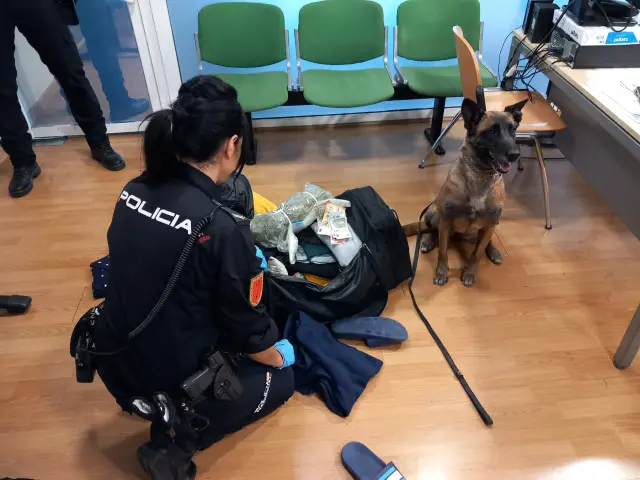 La perra policía "Coca" ha interceptado la marihuana en la estación Delicias de Zaragoza.