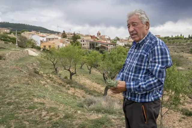 Salvador "Salva" Pérez (PP), alcalde de la pequeña localidad de Villarroya desde 1973, cumplirá los 50 en el cargo en septiembre próximo si es reelegido