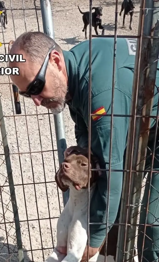 Un agente recoge a uno de los perros encontrados en el criadero ilegal.