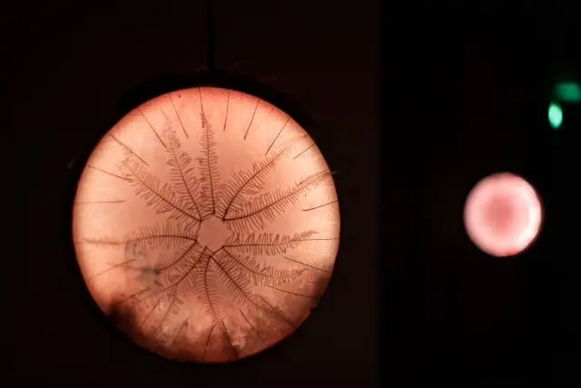 Arantegui trabaja la luz y la incorpora a sus creaciones, algo que ha hecho en las veladas.
