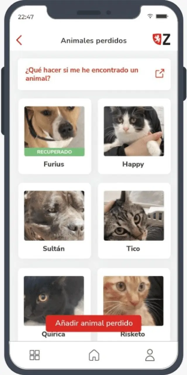 Función para encontrar mascotas perdidas de la 'app' Conecta Zaragoza.