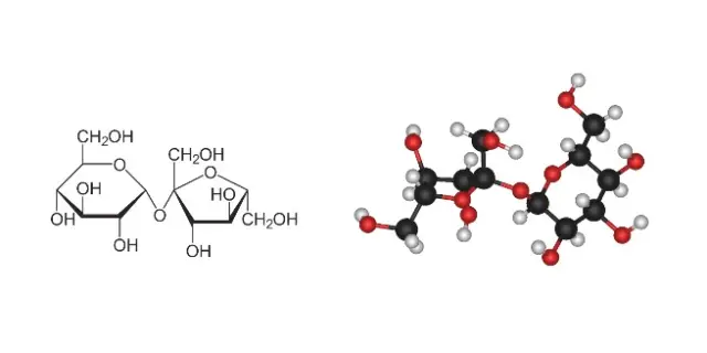 El azúcar común está formado por moléculas de sacarosa, un disacárido de tamaño relativamente pequeño y polar; al presentar una estructura bastante compacta con un núcleo o armazón apolar rodeado de grupos hidroxilo (-OH)