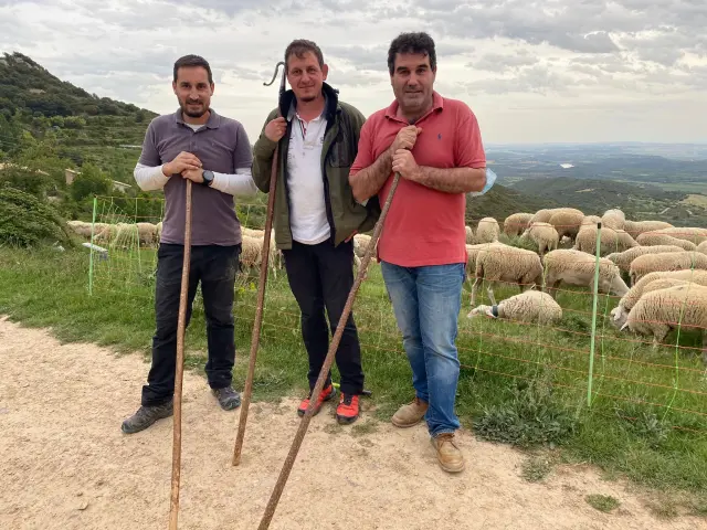 Francisco, Carlos y Alberto son los propietarios de la ganadería Hermanos Santolaria en Alerre (Huesca).