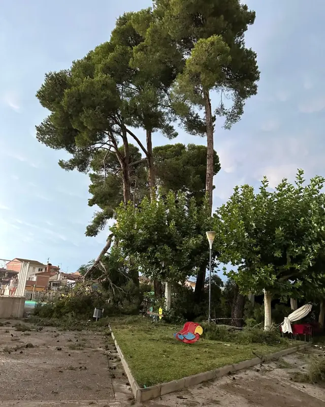 Daños por la caída de árboles en la zona deportiva de Binéfar.