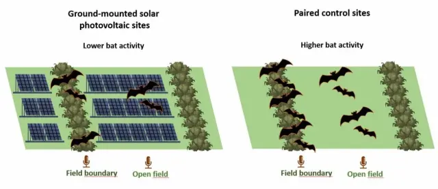 Ilustración que muestra el efecto de la agricultura solar en la actividad de los murciélagos