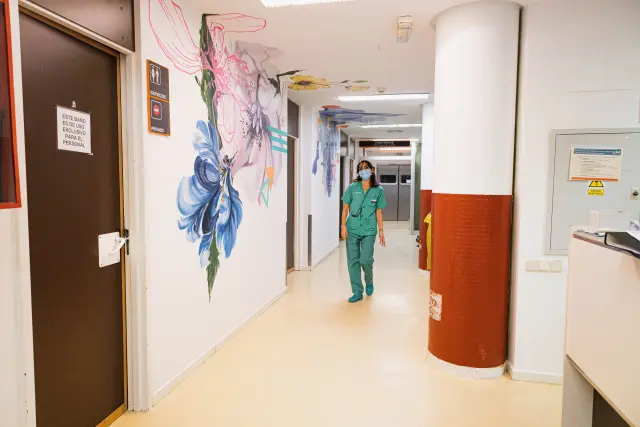 Pinturas en las paredes del Hospital Clínico de Zaragoza.