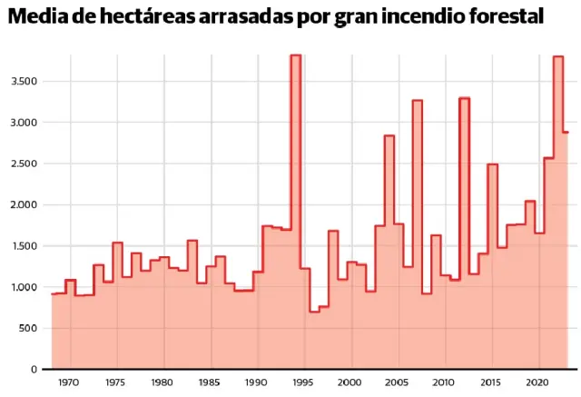 Media de hectáreas arrasadas en España por gran incendio forestal
