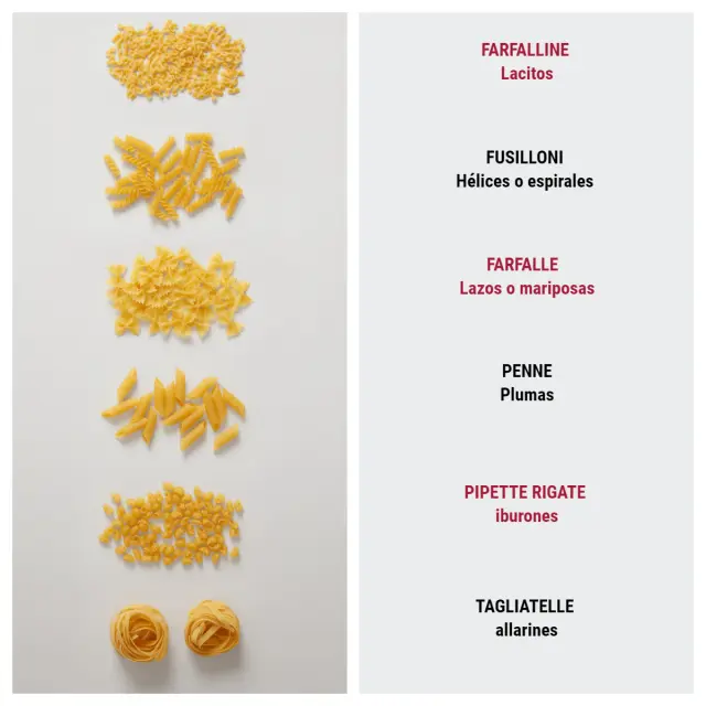 Diferentes tipos de pasta