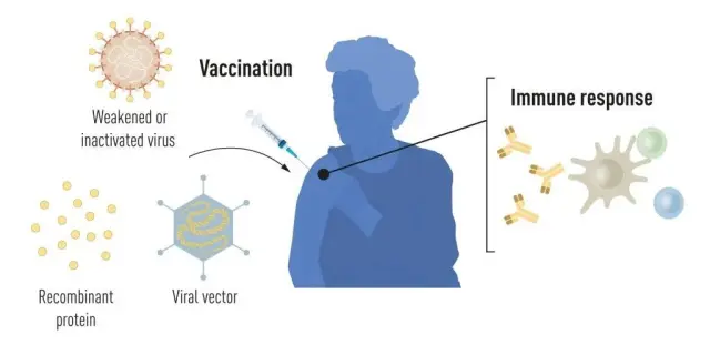 Métodos de producción de vacunas antes de la pandemia de la covid-19.