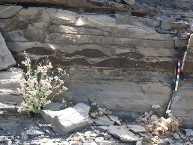 Rocas calizas que contienen areniscas con forma de onda marina encontradas en el entorno de Ricla, Zaragoza.