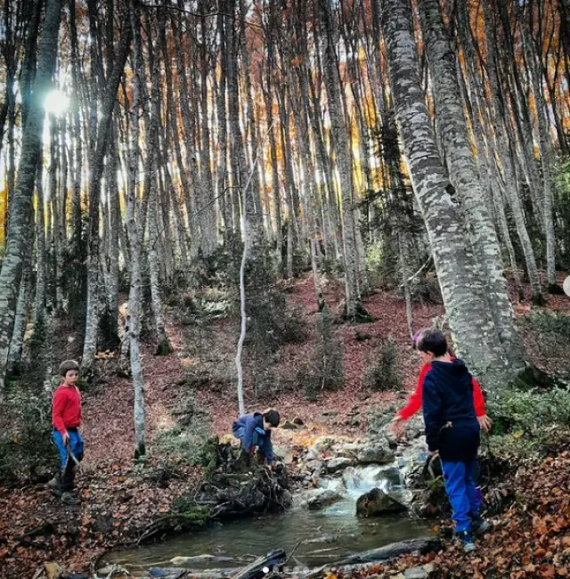 Alumnos de la Escuela Bosque Abellota, en Ulle (Huesca), en una clase al aire libre.