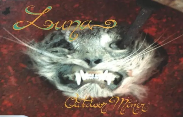 Portada del disco de Luna 'Outdoor miner', hecha por Morea.