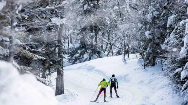 Las pistas de esquí nórdico del Espace Somport atraviesan bosques de hayas