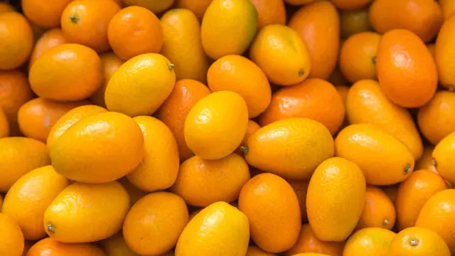 Kumquat, 'naranjas de la china'.