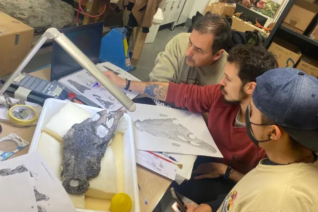 LISBOA (PORTUGAL), 24/01/2024.- Un equipo de investigadores ha identificado al cocodrilo más antiguo de la Península Ibérica gracias al fósil de un cráneo encontrado por un paleontólogo aficionado en una playa de la región portuguesa de Lourinhã, al que han apodado como 'Mr Holger'. EFE/ Dino Parque Lourinhã SOLO USO EDITORIAL/SOLO DISPONIBLE PARA ILUSTRAR LA NOTICIA QUE ACOMPAÑA (CRÉDITO OBLIGATORIO)