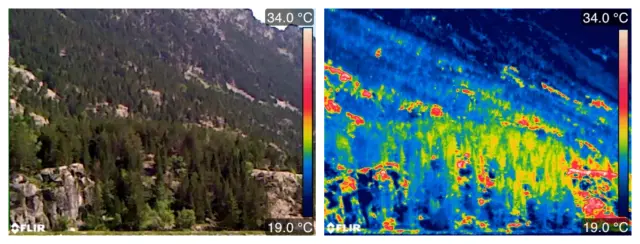 Imagen digital (izquierda) y térmica (derecha), tomada con cámara de infrarrojos, de un paisaje forestal.