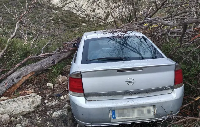 Un tronco de árbol frenó la caída del vehículo siniestrado en Tauste.
