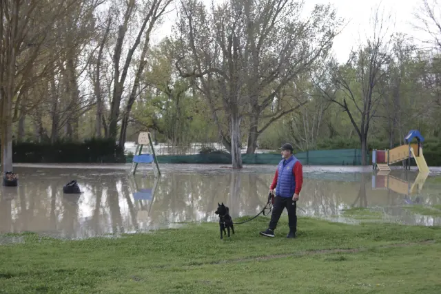Jesús Banzo y su perro, en las piscinas municipales de Zuera.