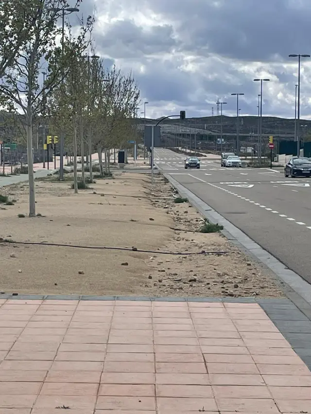 Estado de la avenida del Cierzo, en Arcosur, con la arena levantada y con numerosos boquetes.