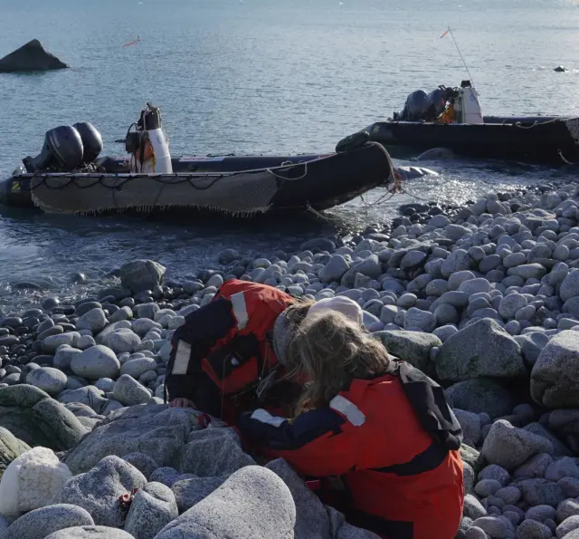 El equipo de Asun Ríos aprovecha un día soleado para recorrer con zodiacs la bahía sur de la isla de Livingston, para la recogida de muestras.