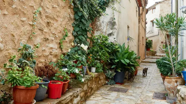 Calles de Bocairent, un destino ideal para visitar desde Teruel