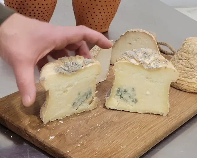 Interior del queso prehistórico de pasta dura de Huesca.