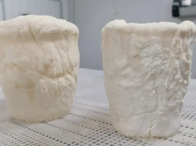 La versión de pasta blanda del queso prehistórico de Huesca.
