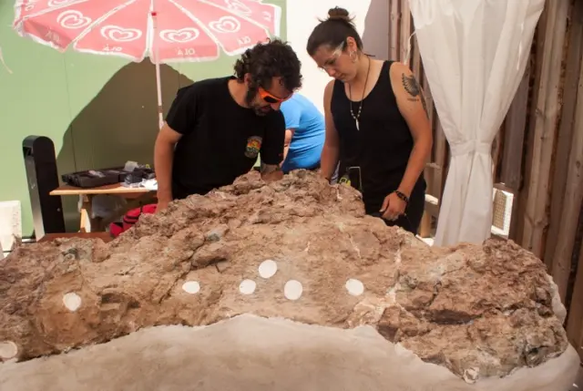 Lope Ezquerro y Carmen Nuñez-Lahuerta examinan uno de los bloques de la puesta de huevos