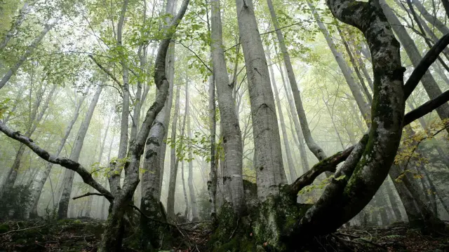 Este Parque Nacional de Aragón es una de las siete maravillas naturales de España