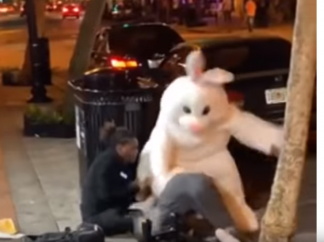 Instruir Inflar alcohol Un 'conejo de Pascua', protagonista en una pelea entre un hombre y una  mujer en EE.UU.