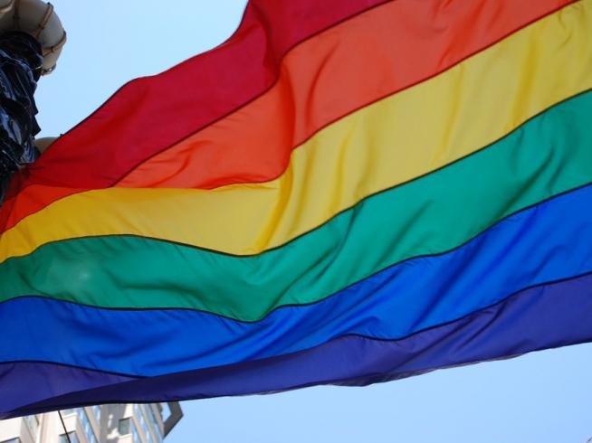 Borradura Excesivo maximizar Por qué la bandera del Orgullo Gay tiene los colores del arcoíris? |  Noticias de Heraldo joven en Heraldo.es