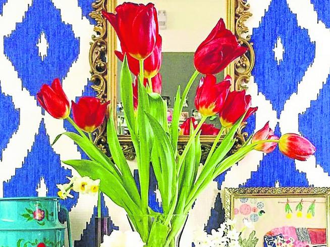 Llegan los tulipanes: ¿cómo elegir la mejor variedad? | Noticias de Blog en  Heraldo.es