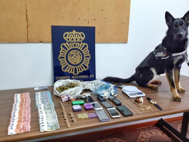 feo guisante gastos generales Un detenido en Zaragoza por vender droga en colegios, primer éxito del perro-policía  Malibú