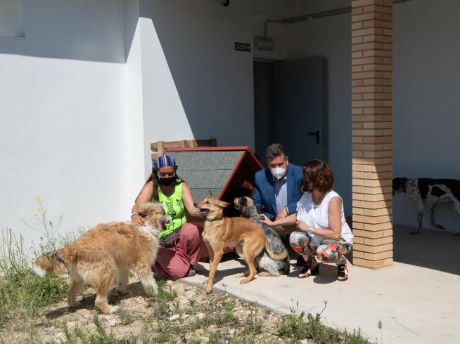 Un sostenible para los perros más miedosos de Teruel