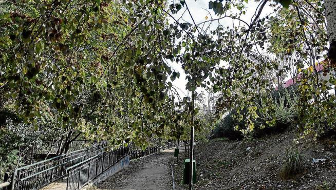 El andador junto al Huerva está ahora completamente separado del parque Bruil.