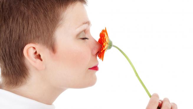 El mal sentido del olfato se conoce como un signo temprano de la enfermedad de Parkinson.