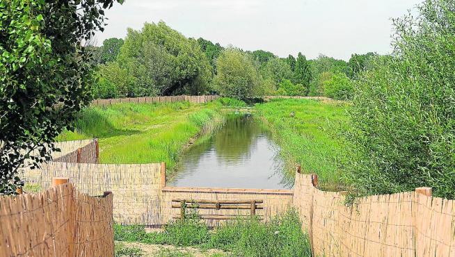 La laguna del Cañizar, cuyo plan de gestión estará redactado en el mes de septiembre.