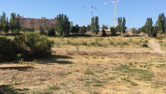 Descampado próximo al Centro de salud de La Almozara