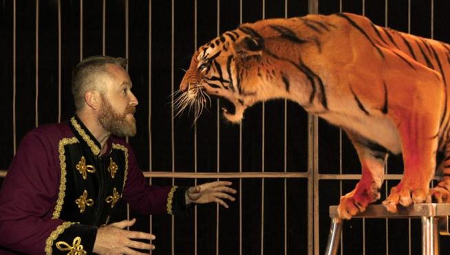 Imagen promocional del espectáculo Zoorprendente, el circo de los animales.