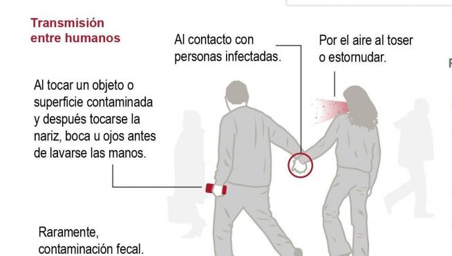 Cómo actuar ante el brote de coronavirus