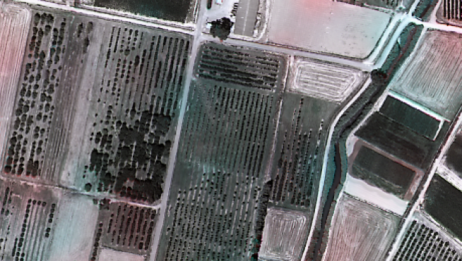 Campos de frutales.