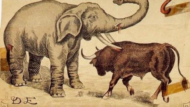 Elefante y toro