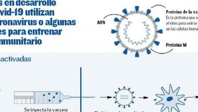Las vacunas en desarrollo utilizan cuatro estrategias principales