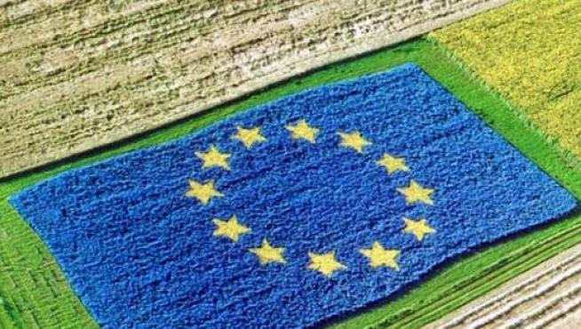 La nueva Política Agraria Común que llegará en 2023 está ahora en el tejado de los Estados miembros, que tienen que elaborar su plan estratégico nacional.