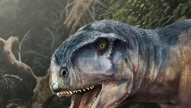Nueva especie de dinosaurio carnívoro, Llukalkan aliocranianus, descubierta en Argentina.