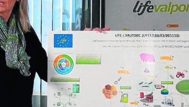 Representantes de la ADS número 2 de Porcino de Ejea muestran en un panel los avances de la investigación del proyecto Life Valporc.