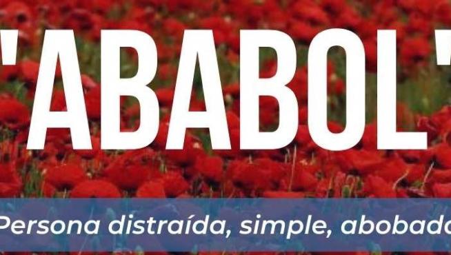 Ababol: más que una amapola en Aragón